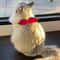 Pet Costume Set With Wings And Bow Tie Collar 7