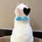 Pet Costume Set With Wings And Bow Tie Collar 8