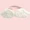 Pet Costume Set With Wings And Bow Tie Collar 9
