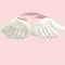 Pet Costume Set With Wings And Bow Tie Collar 9