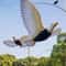 Interactive Hanging Bird Cat Toy With Scratch Rope 10