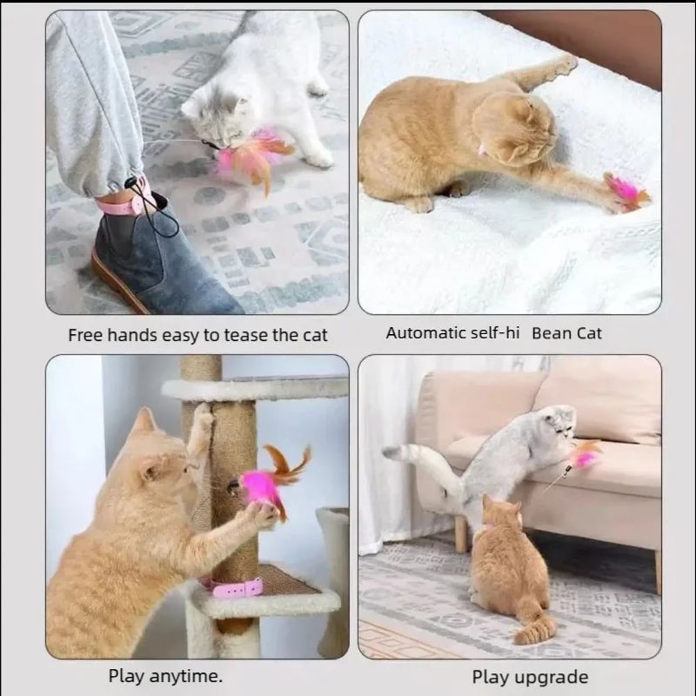 Feather Bell Cat Teaser Collar Toy 5