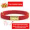 Personalized Engraved Cat Collar With Breakaway Safety Buckle 1