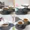 Elevated Ceramic Cat Bowl With Iron Stand 2