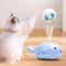 Interactive Electric Whale Ball Cat Toy With USB Charging 10