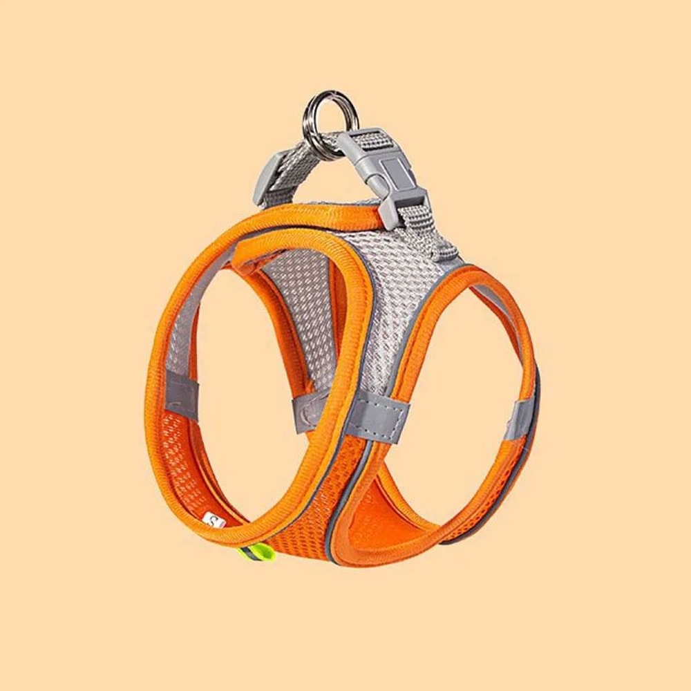 Reflective Breathable Adjustable Pet Harness And Leash Set 10