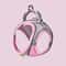 Reflective Breathable Adjustable Pet Harness And Leash Set 11