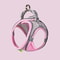 Reflective Breathable Adjustable Pet Harness And Leash Set 11