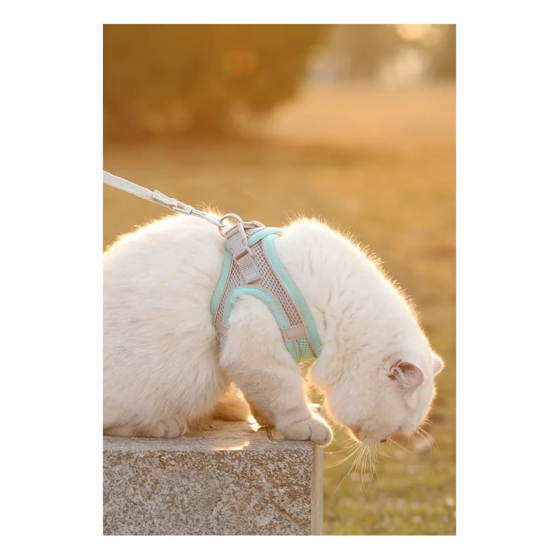Reflective Breathable Adjustable Pet Harness And Leash Set 8
