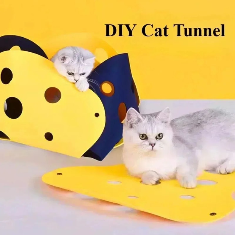 Foldable Cat Tunnel Bed Interactive Play Mat For Indoor Cats 3
