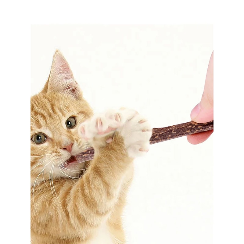 Natural Matatabi Cat Chew Stick For Dental Care And Play 6