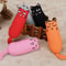 Catnip Rustle Toy For Kittens And Adult Cats 0