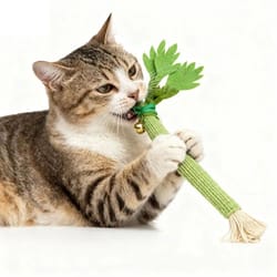 natural catnip celery chew stick for dental care and play
