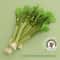 Natural Catnip Celery Chew Stick For Dental Care And Play 1