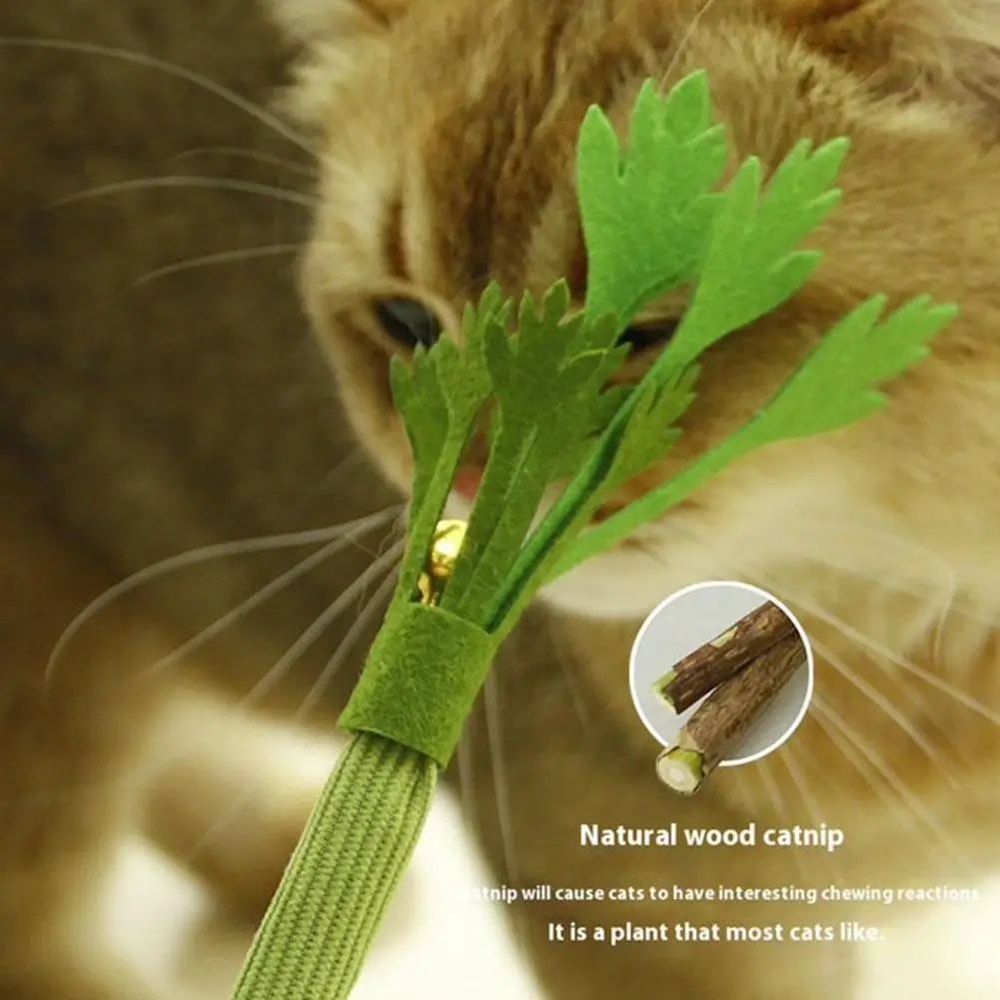 Natural Catnip Celery Chew Stick For Dental Care And Play 2
