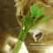 Natural Catnip Celery Chew Stick For Dental Care And Play 2