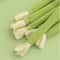Natural Catnip Celery Chew Stick For Dental Care And Play 3