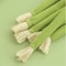 Natural Catnip Celery Chew Stick For Dental Care And Play 3