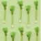 Natural Catnip Celery Chew Stick For Dental Care And Play 4