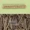 Natural Catnip Celery Chew Stick For Dental Care And Play 5