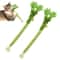 Natural Catnip Celery Chew Stick For Dental Care And Play 7