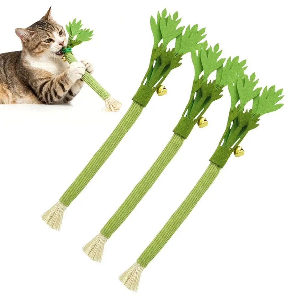 Natural Catnip Celery Chew Stick For Dental Care And Play 8