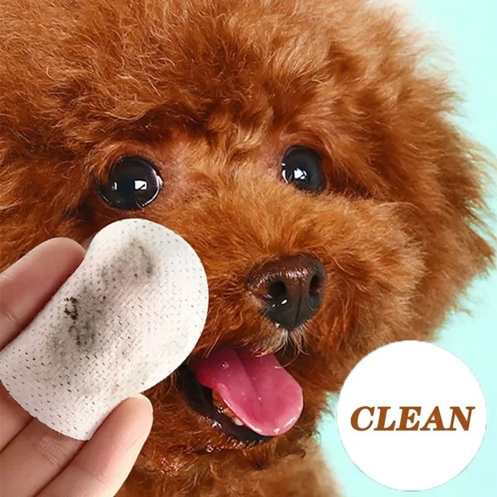 Pet Eye Cleaning Wipes For Cats And Dogs 130 Count 5