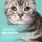 Pet Eye Cleaning Wipes For Cats And Dogs 130 Count 6