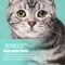 Pet Eye Cleaning Wipes For Cats And Dogs 130 Count 6