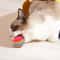 Colorful EVA Rainbow Ball Toy For Cats And Small Pets 1