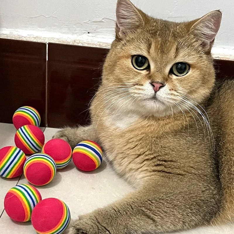 Colorful EVA Rainbow Ball Toy For Cats And Small Pets 6