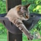 Wall Mounted Foldable Cat Hammock Bed For Sleeping And Climbing 6