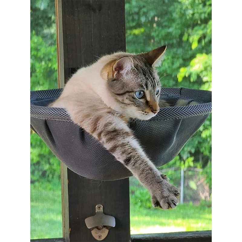Wall Mounted Foldable Cat Hammock Bed For Sleeping And Climbing 6