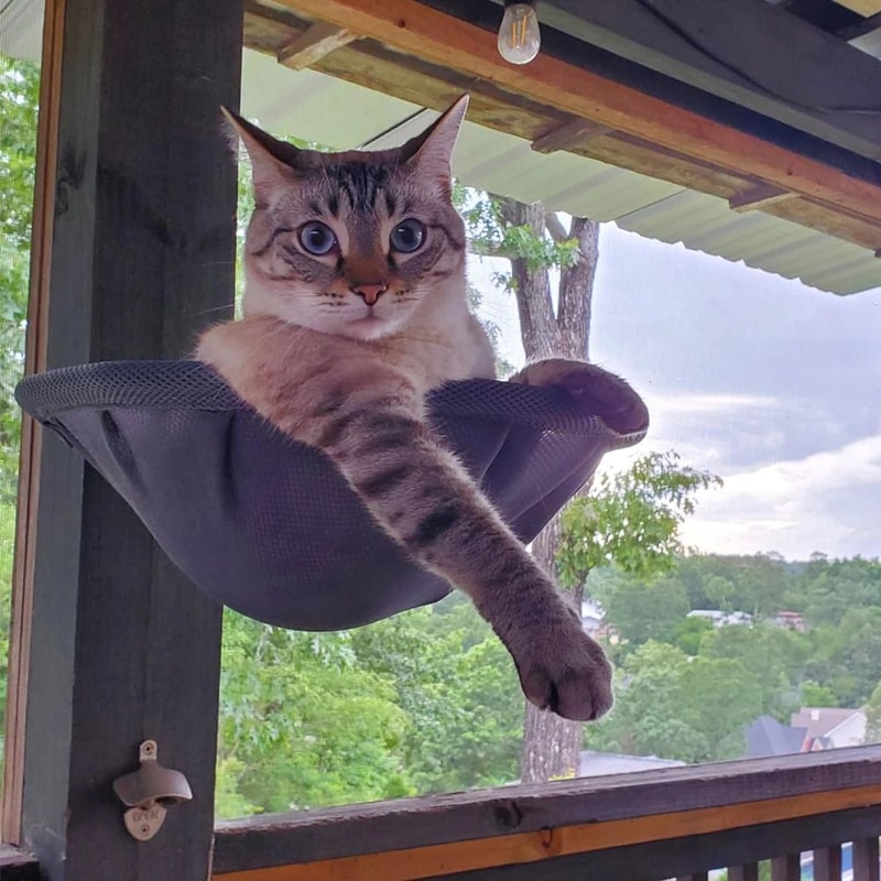 Wall Mounted Foldable Cat Hammock Bed For Sleeping And Climbing 7