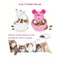 Mouse Shaped Treat Dispensing Puzzle Toy For Cats 4
