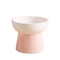Elevated Ceramic Pet Bowl With Raised Stand For Cats And Small Dogs 10