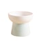 Elevated Ceramic Pet Bowl With Raised Stand For Cats And Small Dogs 12