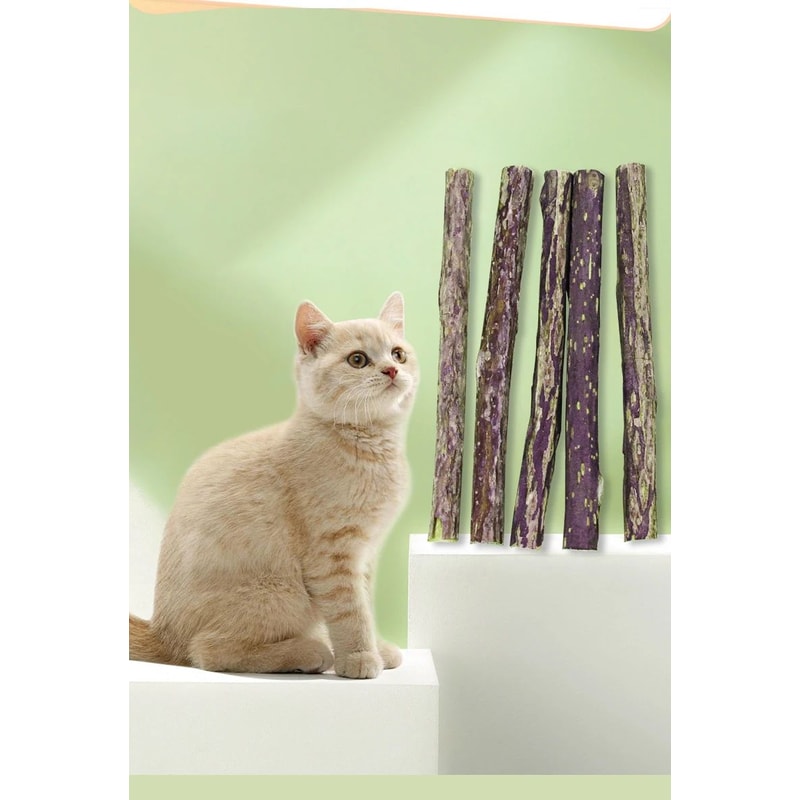 Natural Polygonum Dental Chew Stick For Cats 3