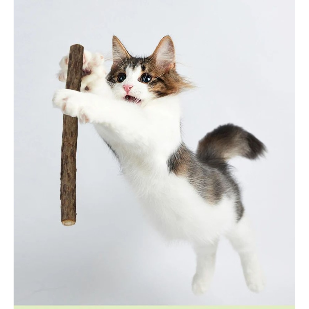 Natural Polygonum Dental Chew Stick For Cats 2