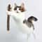 Natural Polygonum Dental Chew Stick For Cats 2