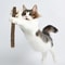 Natural Polygonum Dental Chew Stick For Cats 2