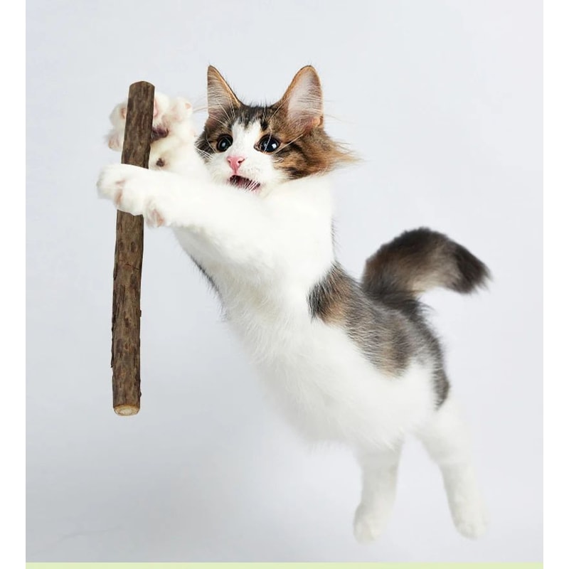Natural Polygonum Dental Chew Stick For Cats 2