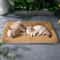 Cooling Pet Mat Bed For Dogs And Cats 0