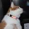 Reflective Breakaway Cat Collar With Bell 7