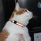 Reflective Breakaway Cat Collar With Bell 7