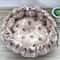 Cozy Plush Pet Bed For Cats And Small Dogs 3