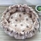 Cozy Plush Pet Bed For Cats And Small Dogs 3