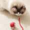 Interactive Smart Rolling Ball Cat Toy 8