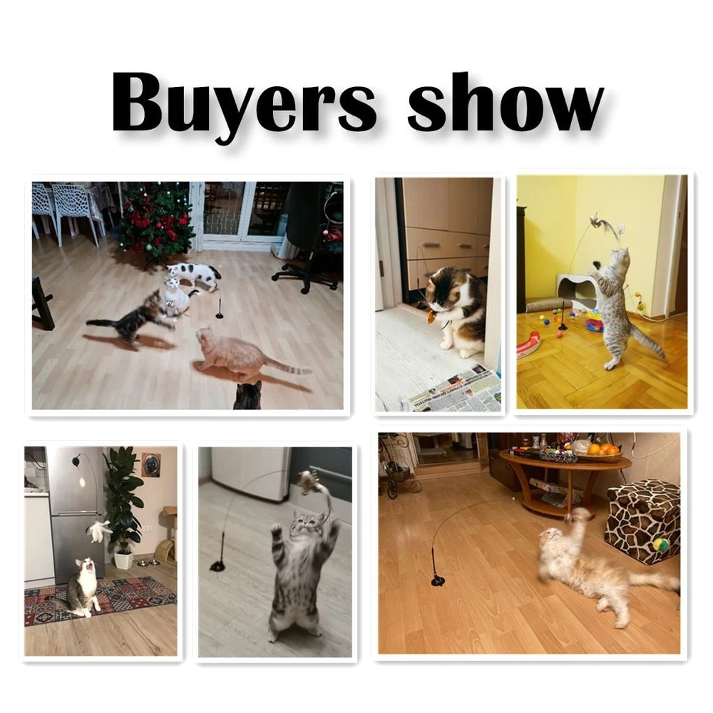 Interactive Feather Bird Teaser Wand Cat Toy 6
