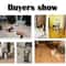 Interactive Feather Bird Teaser Wand Cat Toy 6